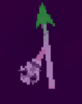 A screenshot of the compass