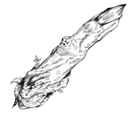 Sukuna's Finger.