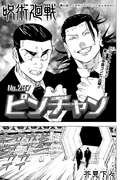 Chapter 243.