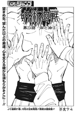 Chapter 204
