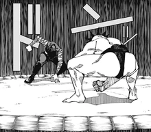 Rokujushi Miyo's sumo domain