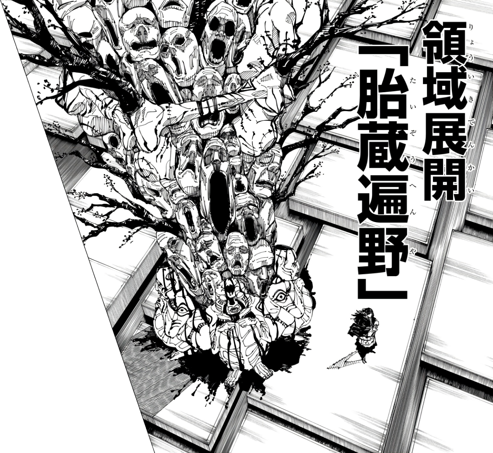 Innate Domain, Jujutsu Kaisen Wiki