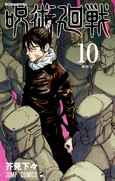 Volumen 10