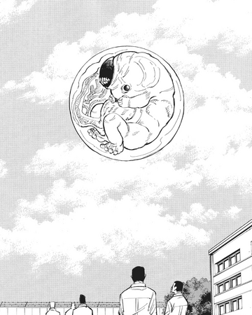 Cursed Womb Arc Jujutsu Kaisen Wiki Fandom