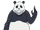 Panda Anime.png