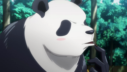 Panda Image Gallery Jujutsu Kaisen Wiki Fandom