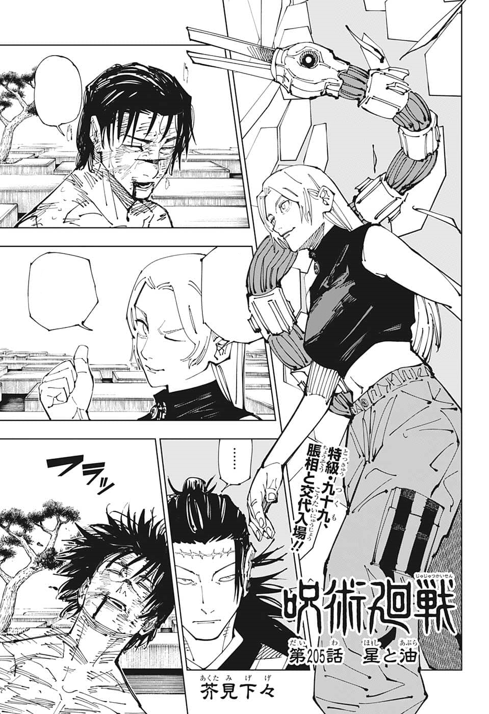 Chapter 205, Jujutsu Kaisen Wiki