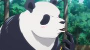 Tokyo Jujutsu second-year: Panda.