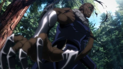 Sword Option (Anime)