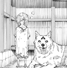 Hana and Divine Dog