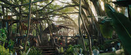 Jumanji 2017 Treehousepng
