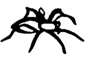 Spider.