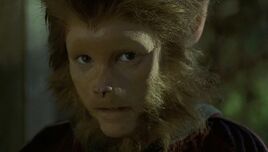 Monkey