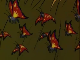 FLY