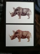 Jumanji-Rhino-Concept-Photographs-1