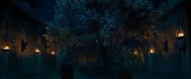 Jumanji Berry Tree