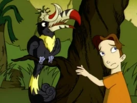 Rhinoceros Hornbill