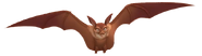 Bats