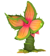 Carnivorous Plants/Pods