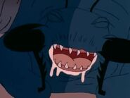 The Black Ant Queen.