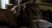 Jumanji-1995-Lion