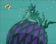 Salamander Peter
