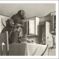 Monkey Jumanji Wiki Fandom Nonton film streaming movie bioskop cinema 21 box office subtitle indonesia gratis online klik tombol di bawah ini untuk pergi ke halaman website download film jumanji: monkey jumanji wiki fandom