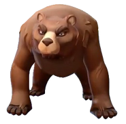 Bears