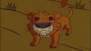 The Lion Cub.