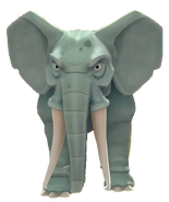 Elephants