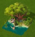 Summer Splash
