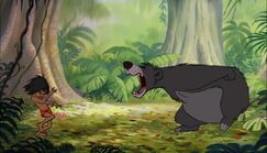 Baloo the Bear Roars at Mowgli