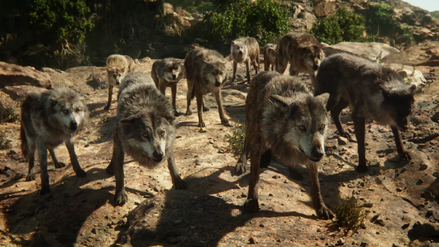 Wolf Pack (Disney 2016)