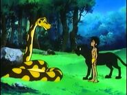 Mowgli, Bagheera and Kaa