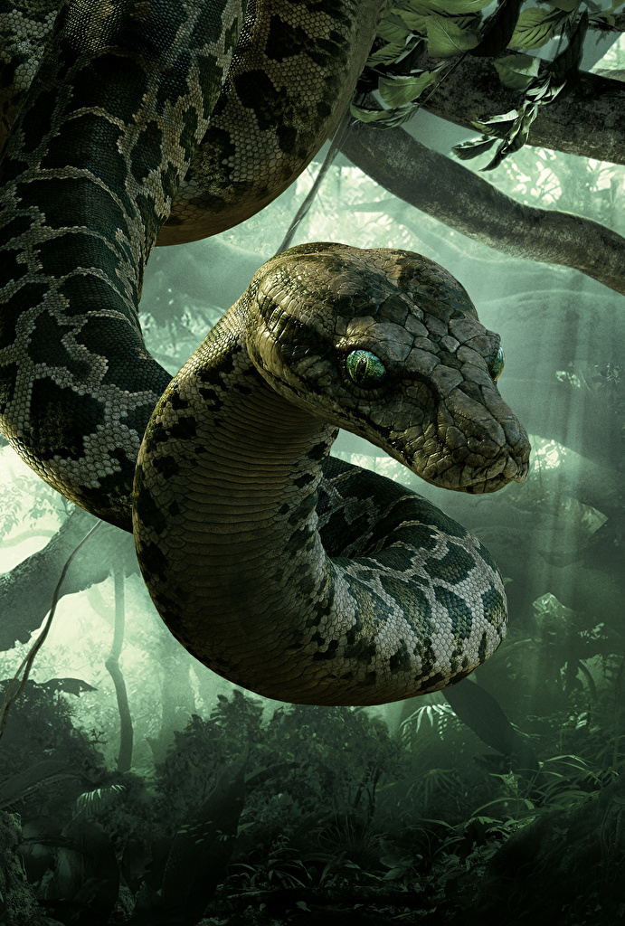 Category:Indian rock pythons | Jungle Book Wiki | Fandom