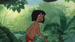 Mowgli is about to follow Shanti