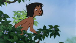 Jungle-book-disneyscreencaps.com-8645