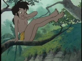 "You can't beat me at tree climbing.", In Summer 1687, Mowgli is now celebrated 6 years old and runs to Akru and Sura.