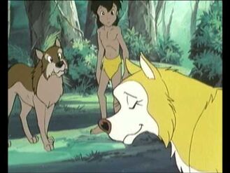 Mowgli, Akru and Maki