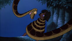Mowgli is being hypnotized and is wraped up in Kaa the python's coils