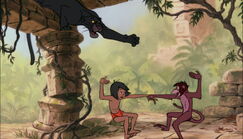 Bagheera the Black Panther is trying to get Mowgli