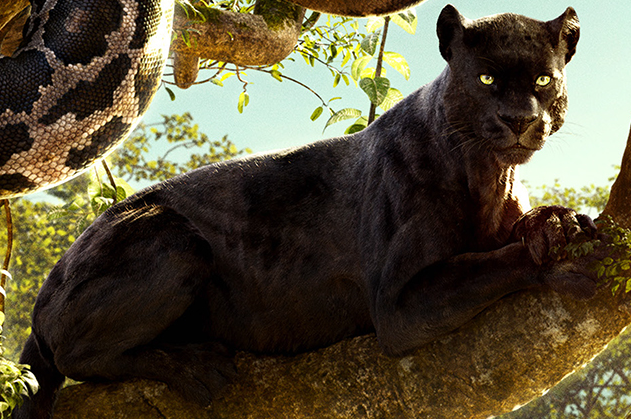 Bagheera Jungle Book Wiki Fandom