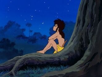 Mowgli Watching the Stars