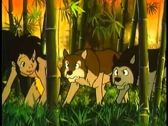 Mowgli, Akru and Sura