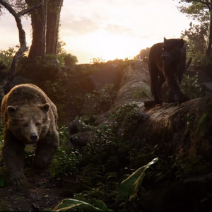 Baloo Jungle Book Wiki Fandom Bare necessities, baloo the bear, baloo, bear, the jungle book, jungle book, childrens classics, classic lit, classic literature, quote, books, bookish, literary art, fan art, fandom, typography. baloo jungle book wiki fandom