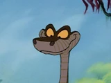 Kaa