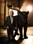 Ben Kingsley and Bagheera the Black Panther (Indian Leopard)