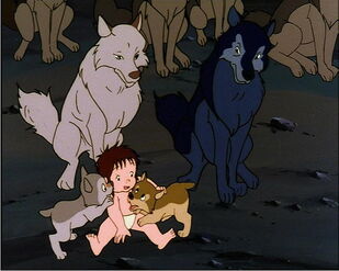 Alexander, Luri, Mowgli, Akru and Sura