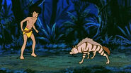 Mowgli vs. Tabaqui