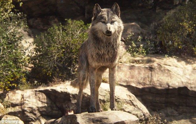 Akela (2016) | Jungle Book Wiki | Fandom